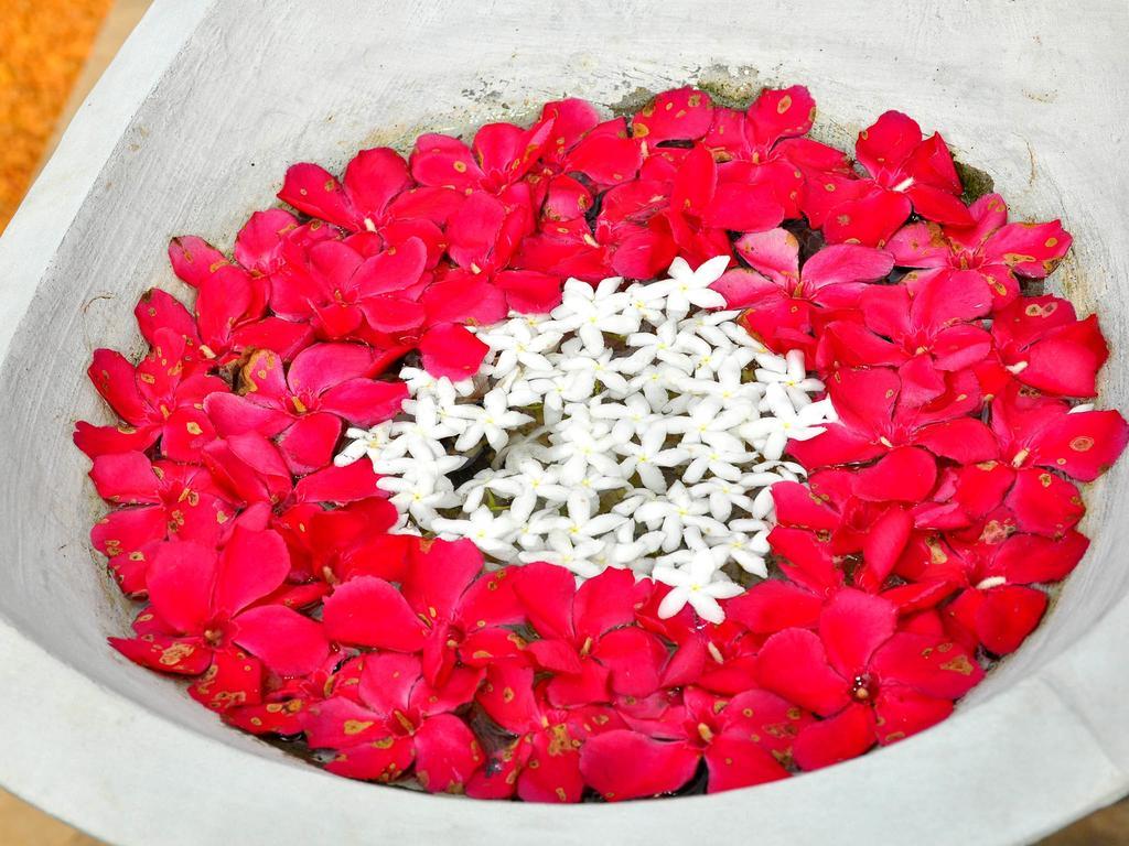 Rockery Villa Ayurveda Bentota Luaran gambar