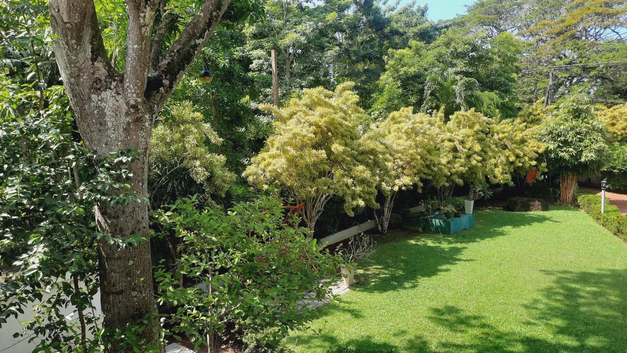 Rockery Villa Ayurveda Bentota Luaran gambar
